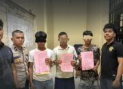 Polisi Amankan 3 Terduga Pencuri Sawit Di Padanglawas