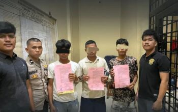 Polisi Amankan 3 Terduga Pencuri Sawit Di Padanglawas