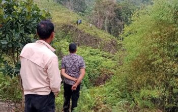 Warga Desa Aornakan II Diduga Hilang Di Sungai Lae Ordi