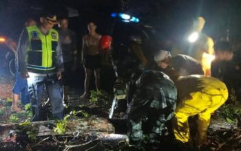 Polsek Tanah Jawa Bersihkan Pohon Tumbang, Jalan Lancar Pukul 00.30 WIB
