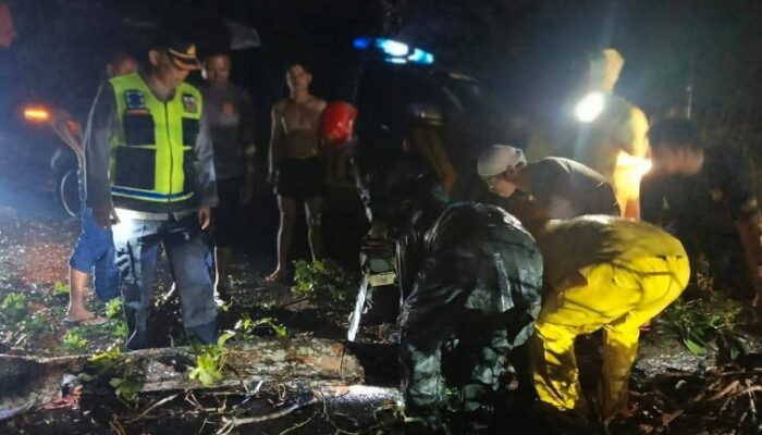Polsek Tanah Jawa Bersihkan Pohon Tumbang, Jalan Lancar Pukul 00.30 WIB