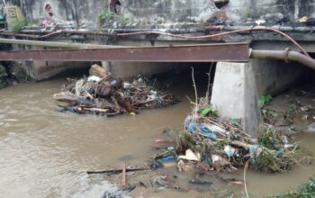 Kayu Gelondongan dan Sampah Sumbat Terowongan Jembatan Aek Mata, Pemkab Madina Bergerak Lambat