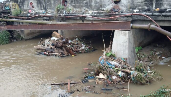 Kayu Gelondongan dan Sampah Sumbat Terowongan Jembatan Aek Mata, Pemkab Madina Bergerak Lambat