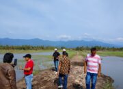Tanggul Aek Muarasada Jebol, 830 Ha Lahan Pertanian Terdampak, Petani Desak Perbaikan Segera