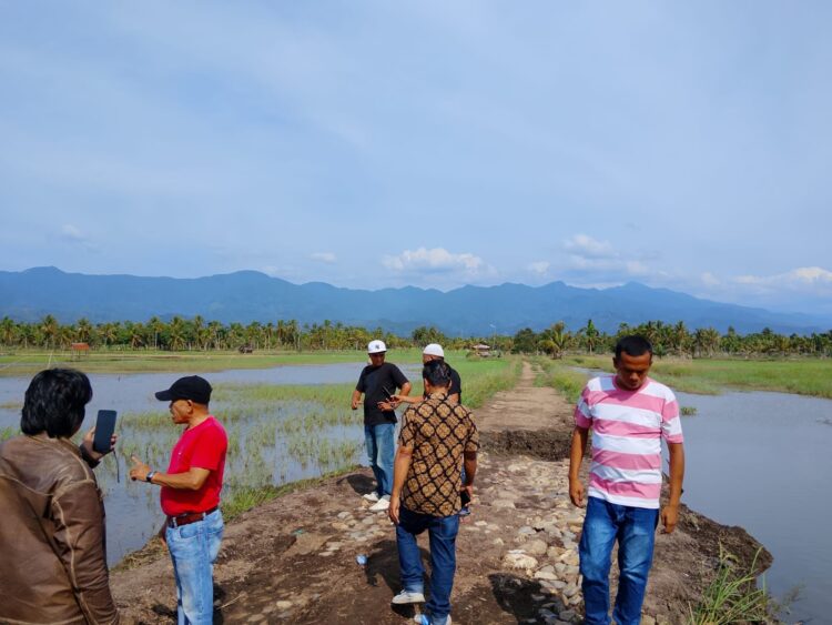 Tanggul Aek Muarasada Jebol, 830 Ha Lahan Pertanian Terdampak, Petani Desak Perbaikan Segera