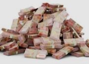 LSM Desak Komisi IV DPRD Madina Panggil Ka.BPBD Jelaskan Pencairan Dana Bencana Rp1,3 Triliun