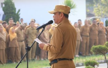 Bupati Sergai Tak Perpanjang Kontrak 25 PPPK