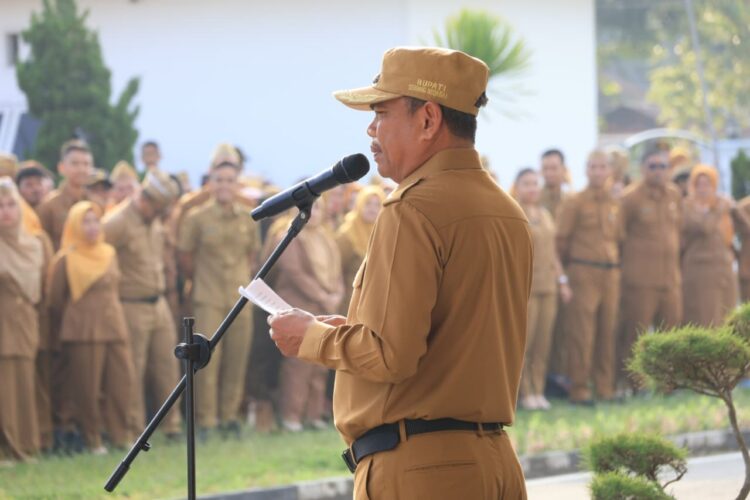 Bupati Sergai Tak Perpanjang Kontrak 25 PPPK