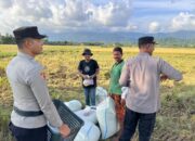 Langka Di Abdya, Polisi Antar Takjil Petani Di Sawah