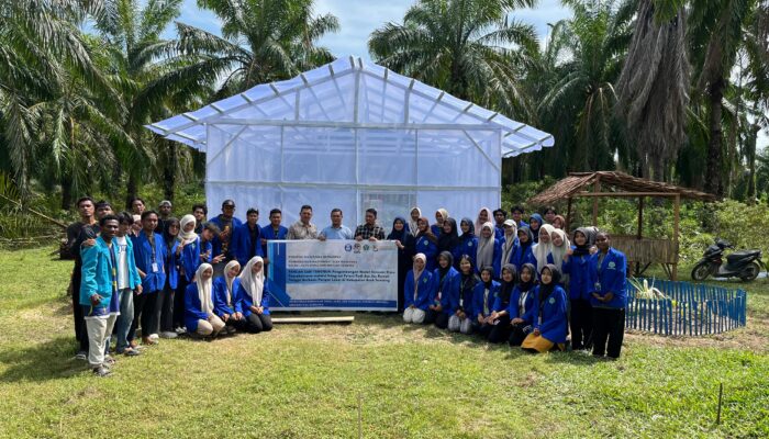 Mahasiswa Universitas Samudra Bangun Solar Dryer Untuk Petani Di Aceh Tamiang