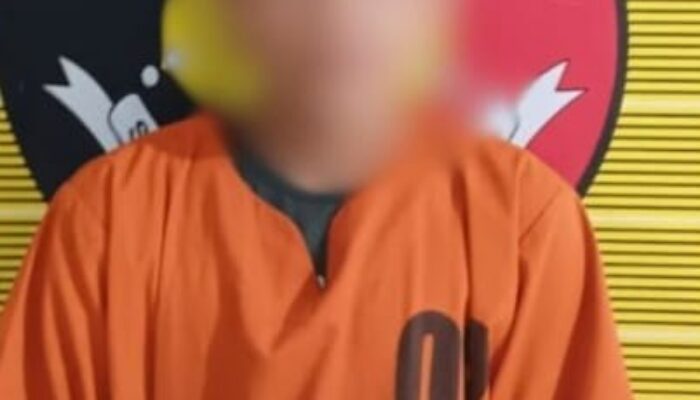 Curi Mobil Di Sidimpuan, Warga Tapsel Ditangkap Di Deliserdang