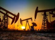 Industri Asuransi Nasional Belum Optimal Dukung Pengembangan Sektor Migas