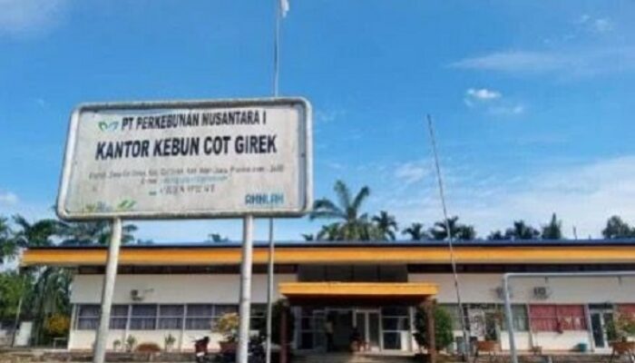 PTPN IV Tegaskan HGU Kebun Cot Girek Sah Dan Masih Aktif, Siap Klarifikasi Terbuka Atas Klaim Yang Beredar