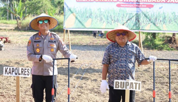 Dukung Asta Cita Presiden, Polres Madina Tanam Jagung Kwartal 1 Tahun 2026