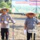 Dukung Asta Cita Presiden, Polres Madina Tanam Jagung Kwartal 1 Tahun 2026