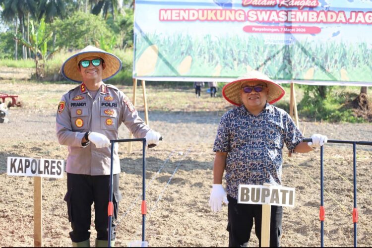 Dukung Asta Cita Presiden, Polres Madina Tanam Jagung Kwartal 1 Tahun 2026