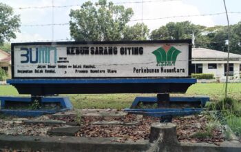 PTPN IV Sarang Giting Usulkan Ganti Oknum BKO TNI Tersandung Kasus Penganiayaan