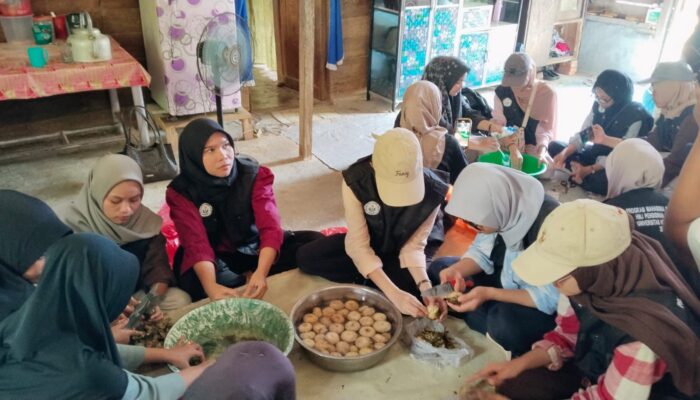 HMJ Pendidikan Geografi Lakukan Restorasi Mangrove Dan Sosialisasi Pengolahan Produk Lokal Di Desa Salahaji