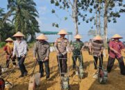 Lanjutkan Swasembada Pangan, Polres Aceh Singkil dan Pemda Tanam Jagung Kuartal I