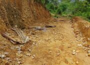 Kades dan Sekdes Jambur Baru Batang Natal Bungkam Terkait DD 2024-2025