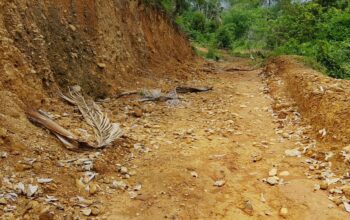 Inspektorat Madina Akan Tindaklanjuti Laporan Dugaan Penyimpangan Kades Jambur Baru