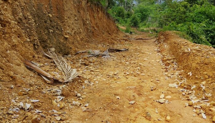 Inspektorat Madina Akan Tindaklanjuti Laporan Dugaan Penyimpangan Kades Jambur Baru