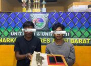 Bawa Ganja, Satres Narkoba Polres Abdya Amankan 2 Pemuda Aceh Selatan 