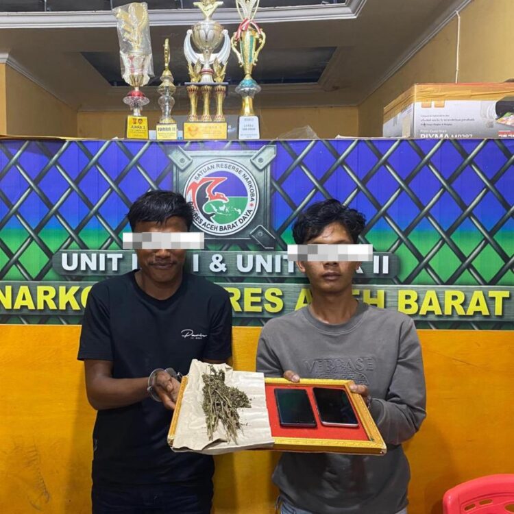 Bawa Ganja, Satres Narkoba Polres Abdya Amankan 2 Pemuda Aceh Selatan 