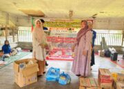 Tim PKM Universitas Samudra Perkuat Layanan Medis Korban Banjir di Desa Pahlawan