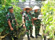 Kasdam IM Apresiasi Terobosan Pangan Dandim 0110/Abdya