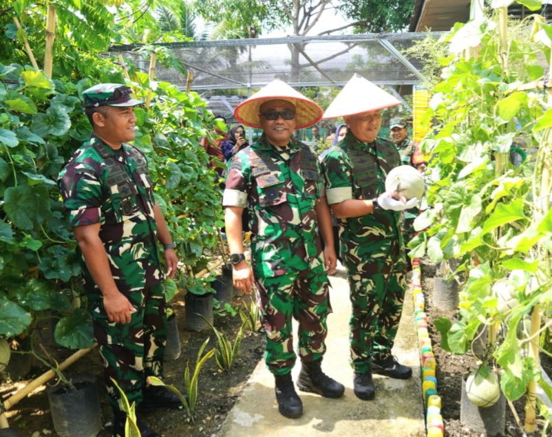 Kasdam IM Apresiasi Terobosan Pangan Dandim 0110/Abdya