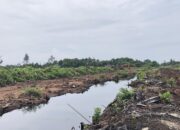 Perambahan Rawa Tripa, Dalang Pembukaan Lahan Masih Diselidiki