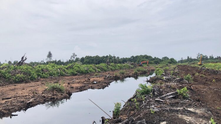 Perambahan Rawa Tripa, Dalang Pembukaan Lahan Masih Diselidiki