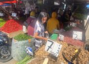 Pasokan Pangan Sumut Aman Hingga H+3 Lebaran