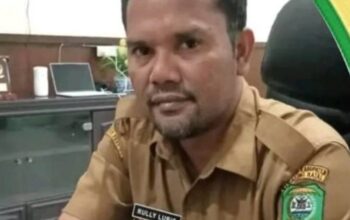 Kadis Perkim Madina: Proyek Jalan Lingkungan Desa Jambur Baru Belum Lepas Aset, Diduga Dirusak