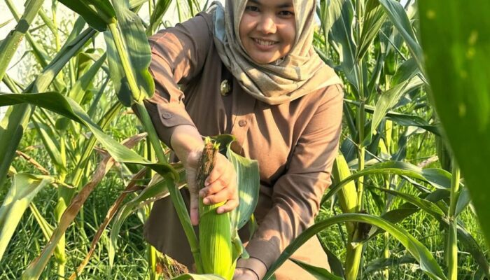 Wabup Madina Ajak Masyarakat Tekan Inflasi dengan Memanfaatkan Pekarangan