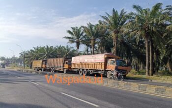 Warga Desak Satlantas Polres Sergai TindaknTegas Truk Parkir di Jalur Lintas Depan Masjid Agung dan Alun-Alun