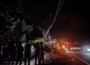 Mobil Rental Tabrak Tiang Listrik Di Subulussalam