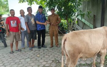 Sambut Idul Fitri, Ketua DPD KOMBAT Deliserdang Serahkan Bantuan Satu Ekor Letmbu
