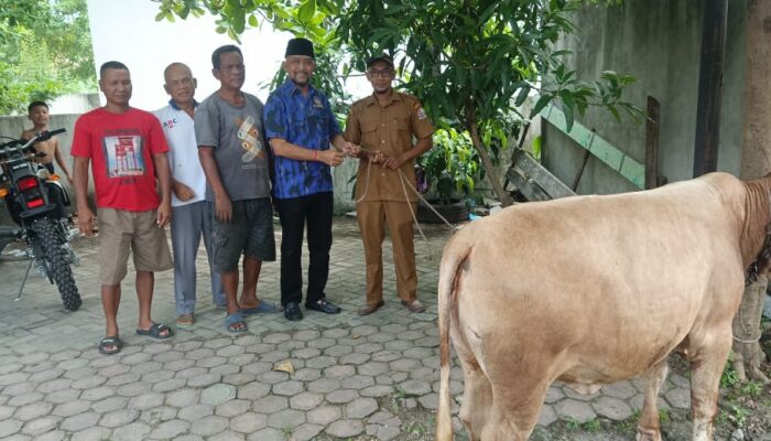 Sambut Idul Fitri, Ketua DPD KOMBAT Deliserdang Serahkan Bantuan Satu Ekor Letmbu