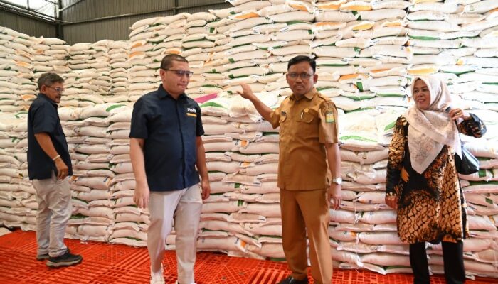 Jelang Penyaluran Bantuan Pangan, Kadis Pangan Aceh Besar – Bulog Cek Stok Dan Kualitas Beras