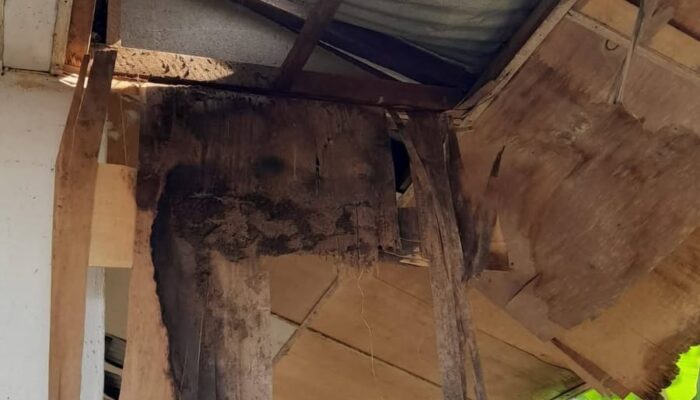 Gedung SDN 029 Lumban Dolok Kupak-Kapik, Orang Tua Siswa Kecewa Tak Direspon Pemkab Madina