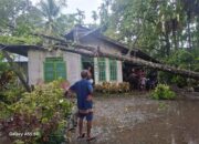 Satu Rumah di Nagan Raya Rusak Tertimpa Pohon Durian Saat Lebaran