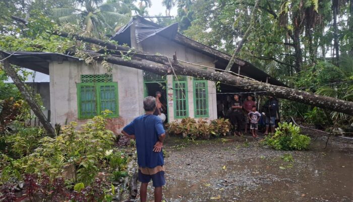 Satu Rumah di Nagan Raya Rusak Tertimpa Pohon Durian Saat Lebaran