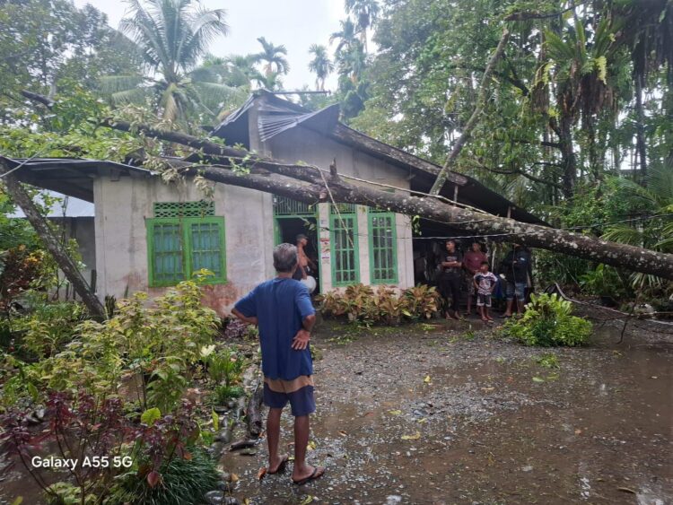 Satu Rumah di Nagan Raya Rusak Tertimpa Pohon Durian Saat Lebaran