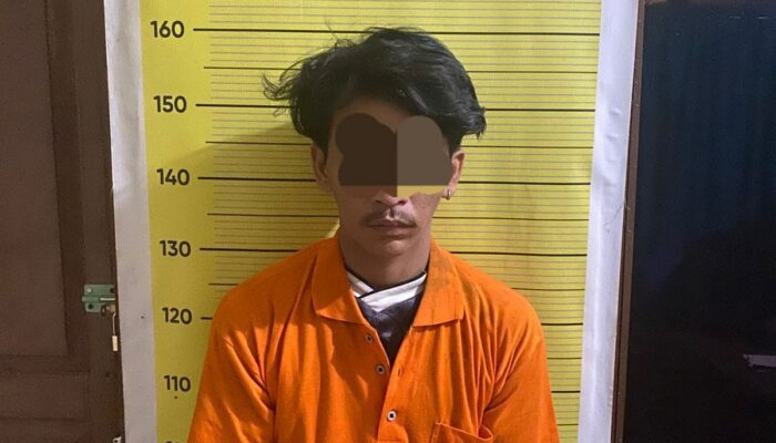 Satuan Narkoba Polres Taput Ringkus Pengedar, Sita 114 Butir Pil Ekstasi