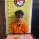 Satuan Narkoba Polres Taput Ringkus Pengedar, Sita 114 Butir Pil Ekstasi