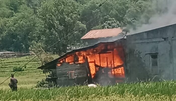 Tiga Bangunan di Kuyun Toa Ludes Terbakar