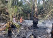 Kebakaran Hanguskan 2 Hektare Lahan Di Montasik Aceh Besar