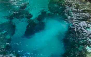 Tanpa Kontribusi Pengembangan Wisata, Pemkab Simalungun Tiba-tiba Pungut Retribusi bagi Pengunjung Sungai Lobang